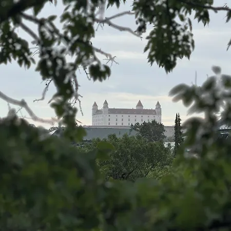 Jungle In Centre W Ac *